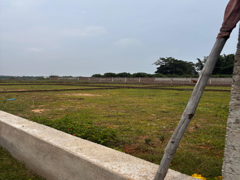  1000 Sq.ft. Residential Plot for Sale in Ormanjhi, Ranchi