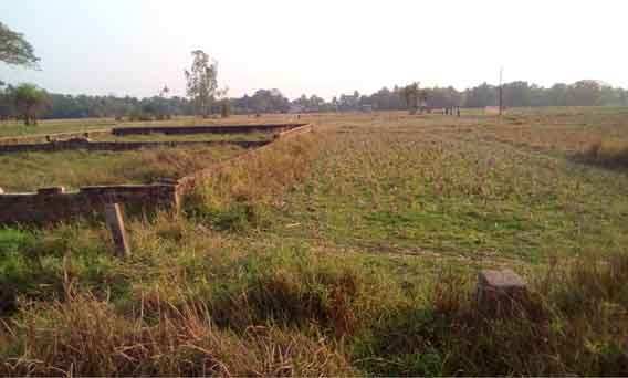 Residential Plot 720 Sq.ft. for Sale in Baruipur, South 24 Parganas