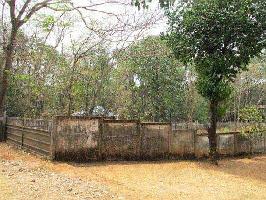  Residential Plot for Sale in Nadathara, Thrissur