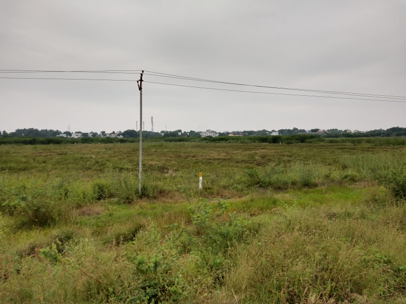 Commercial Land 3 Acre for Sale in Arupukottai, Madurai
