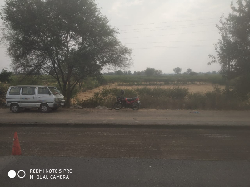  Agricultural Land 12 Acre for Sale in Bhandara Road, Nagpur