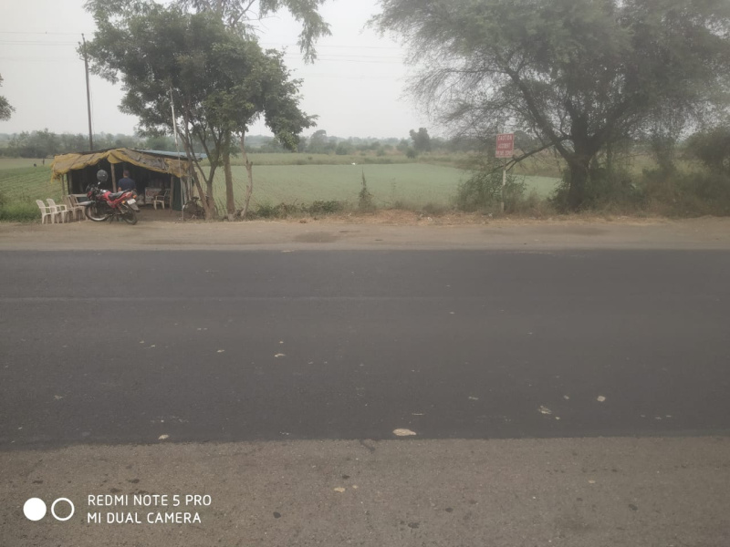  Agricultural Land 12 Acre for Sale in Bhandara Road, Nagpur