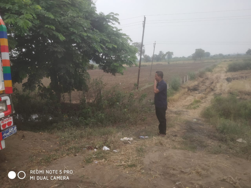  Agricultural Land 5 Acre for Sale in Bela, Bhandara