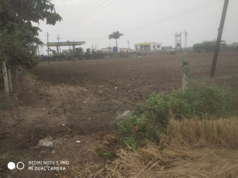  Agricultural Land 2 Acre for Sale in Bela, Bhandara