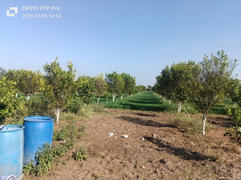  Agricultural Land 9 Acre for Sale in Kalameshwar, Nagpur