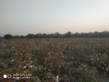  Agricultural Land for Sale in Ramtek, Nagpur