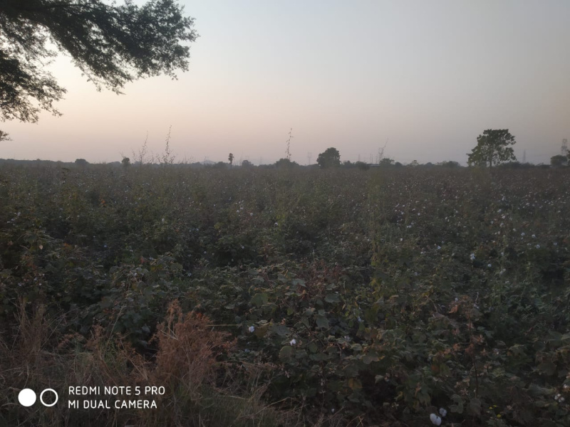  Agricultural Land 52 Acre for Sale in Ramtek, Nagpur