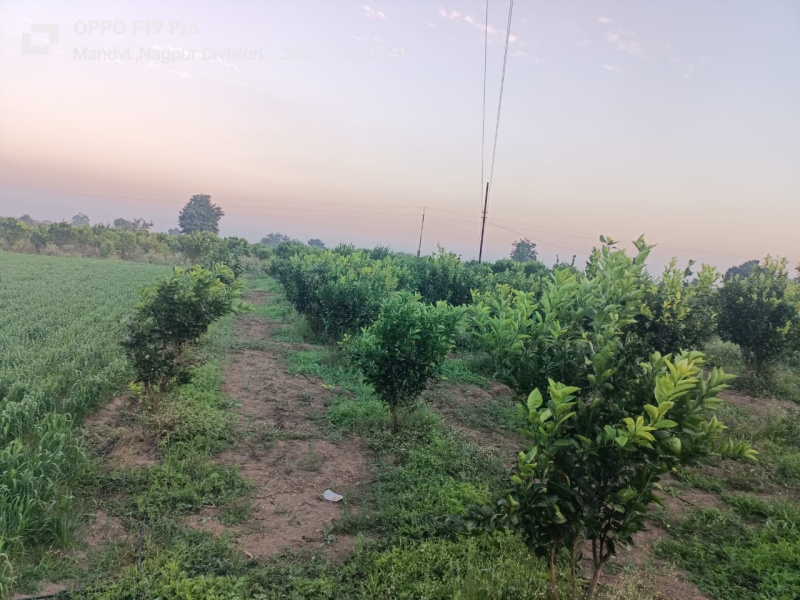  Agricultural Land 4 Acre for Sale in Kalameshwar, Nagpur