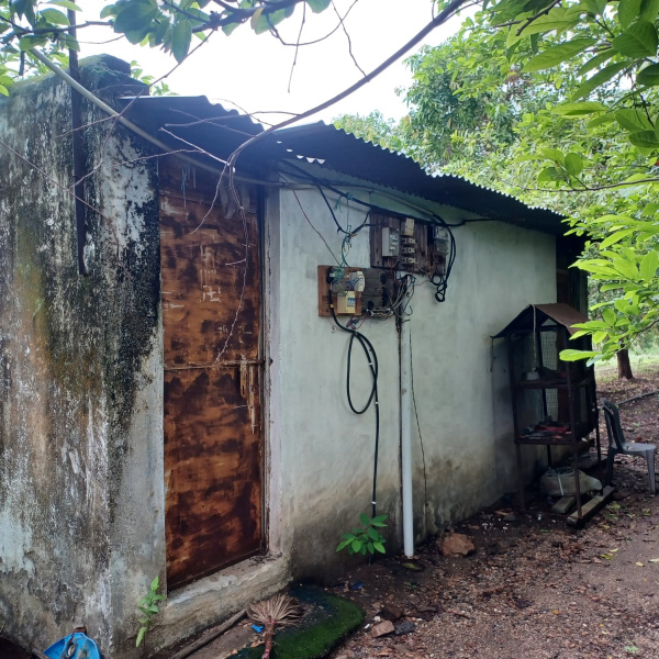  4 Acre Agricultural/Farm Land for Sale in Kalameshwar, Nagpur