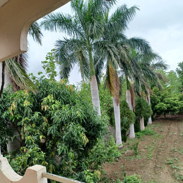  4 Acre Agricultural/Farm Land for Sale in Kalameshwar, Nagpur