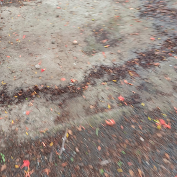  6000 Sq.ft. Commercial Land for Sale in Ambazari, Nagpur