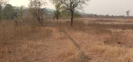  Agricultural Land for Sale in Mohapa, Nagpur