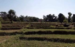  Commercial Land for Sale in Yol Cantt, Dharamsala