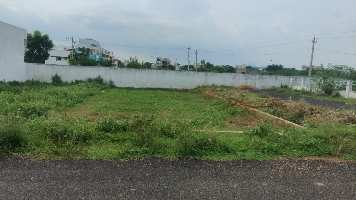  Residential Plot for Sale in Buchireddypalem, Nellore