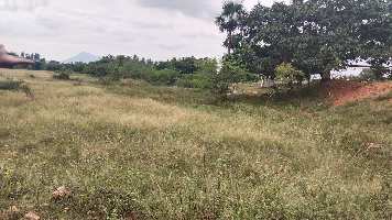  Agricultural Land for Sale in Sevugampatti, Dindigul