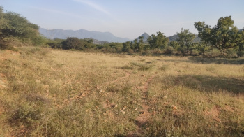  Agricultural Land for Sale in Sithayankottai, Dindigul