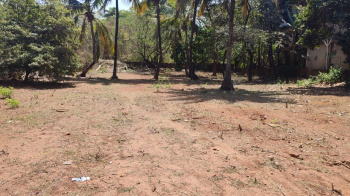  Commercial Land for Sale in Arambol, Goa