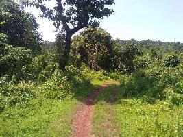  Commercial Land for Sale in Mulgao, Bicholim, Goa