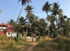  Residential Plot for Sale in Aluva, Kochi