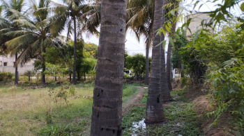  Agricultural Land for Sale in Karayampalayam, Coimbatore
