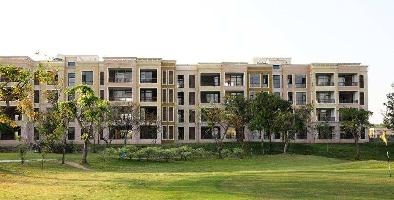 3 BHK Flat for Rent in Golf Course, Greater Noida