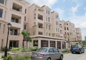 3 BHK Flat for Sale in Jaypee Greens, Greater Noida