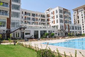 6 BHK Flat for Rent in Jaypee Greens, Greater Noida