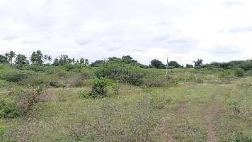  Agricultural Land for Sale in Harpanahalli, Davanagere