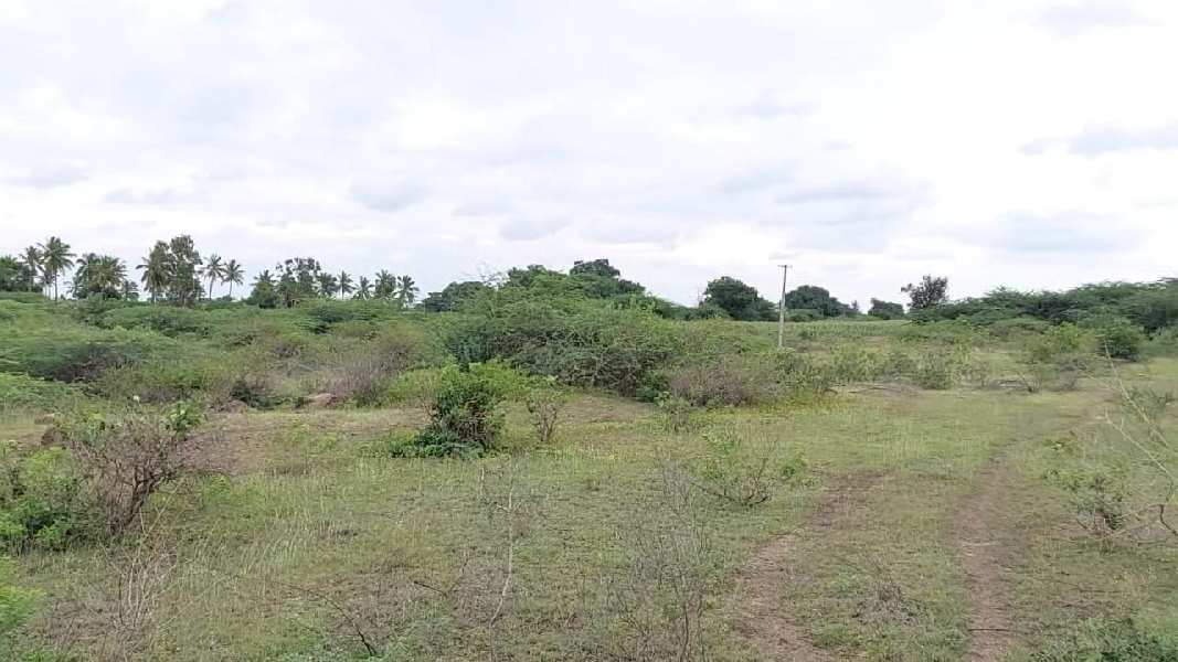 Agricultural Land 3 Acre for Sale in Harpanahalli, Davanagere