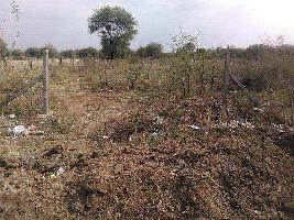  Agricultural Land for Sale in Gagwana, Ajmer
