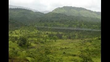  Agricultural Land for Sale in Shahapur, Thane