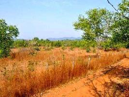  Residential Plot for Sale in Kudal, Sindhudurg