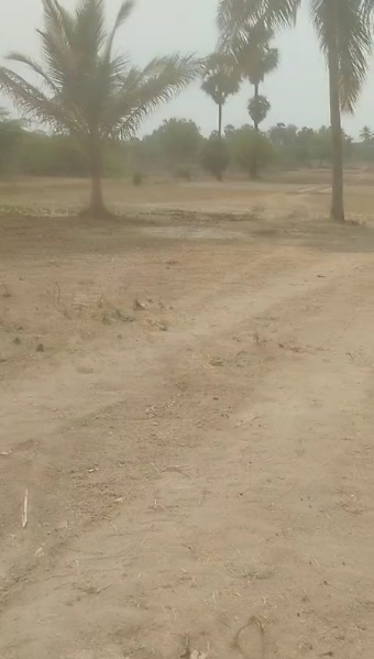  Agricultural Land 4 Acre for Sale in Vaniyambadi, Vellore