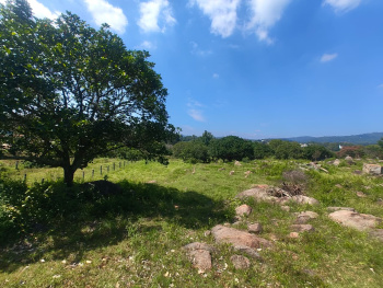  Residential Plot for Sale in Yelagiri, Vellore