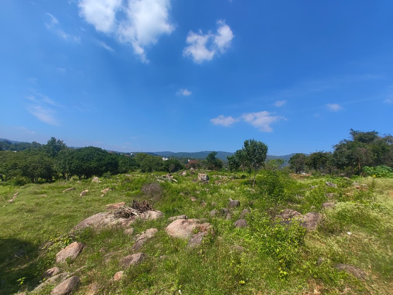  83 Cent Residential Plot for Sale in Yelagiri, Vellore