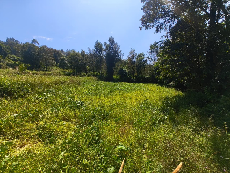  20 Cent Residential Plot for Sale in Yelagiri, Vellore