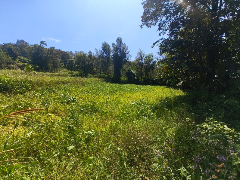  20 Cent Residential Plot for Sale in Yelagiri, Vellore
