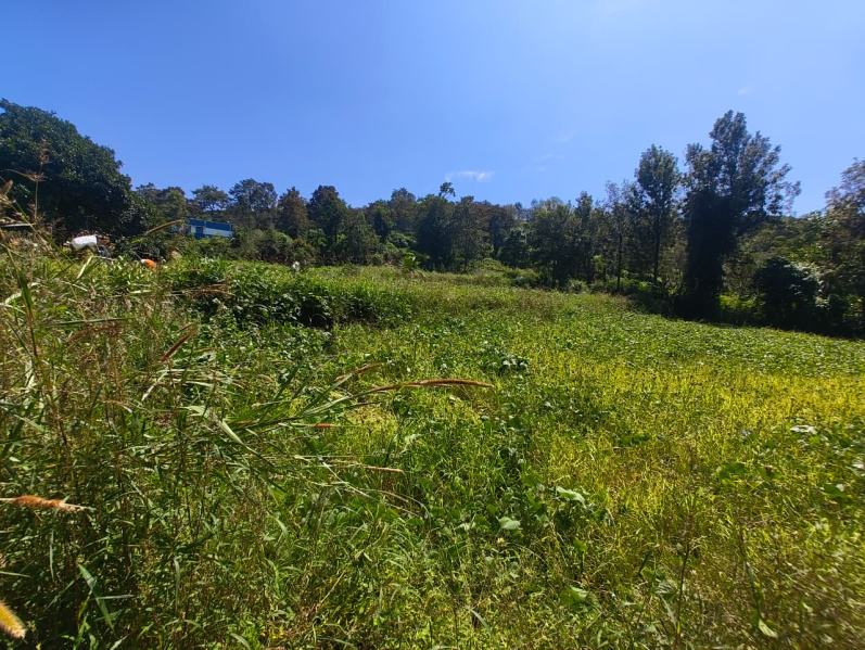  20 Cent Residential Plot for Sale in Yelagiri, Vellore