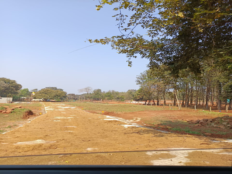  11960 Sq.ft. Residential Plot for Sale in Yelagiri, Vellore