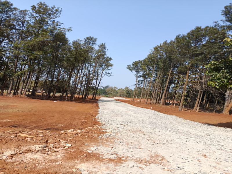  11960 Sq.ft. Residential Plot for Sale in Yelagiri, Vellore