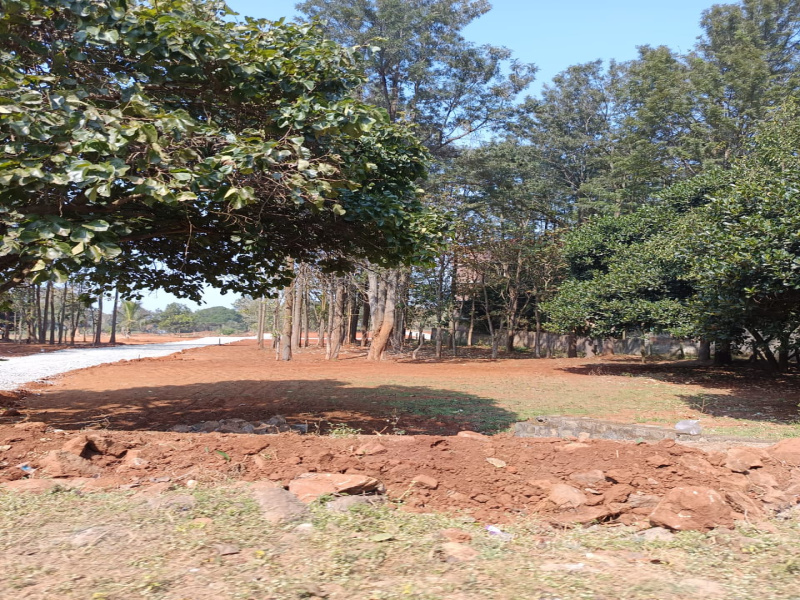  11960 Sq.ft. Residential Plot for Sale in Yelagiri, Vellore