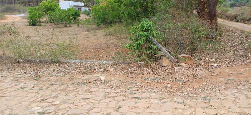  11690 Sq.ft. Residential Plot for Sale in Yelagiri, Vellore