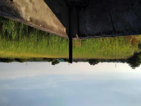  Agricultural Land for Rent in Hingna, Nagpur