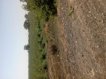  Industrial Land for Sale in Karjan, Vadodara