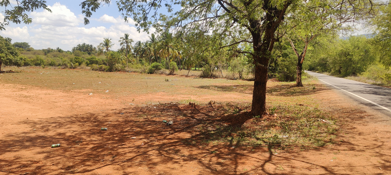  10000 Sq.ft. Residential Plot for Sale in Sirumalai, Dindigul