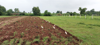  Agricultural Land for Sale in Rajupura, Anand