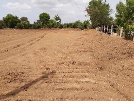  Agricultural Land for Sale in Vasad, Anand
