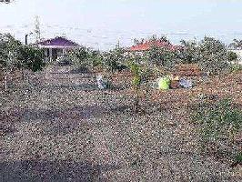  Agricultural Land for Sale in Dahej GIDC, Bharuch