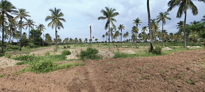  Agricultural Land 13 Acre for Sale in Hosdurga, Chitradurga