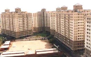 3 BHK Flat for Sale in DLF Phase IV, Gurgaon